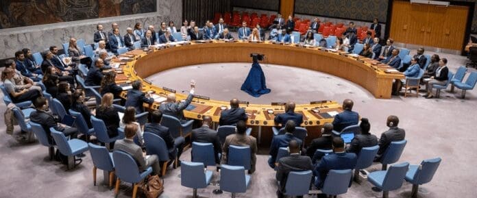 Qué es el Consejo de Seguridad de la ONU y cómo funciona? | National Geographic