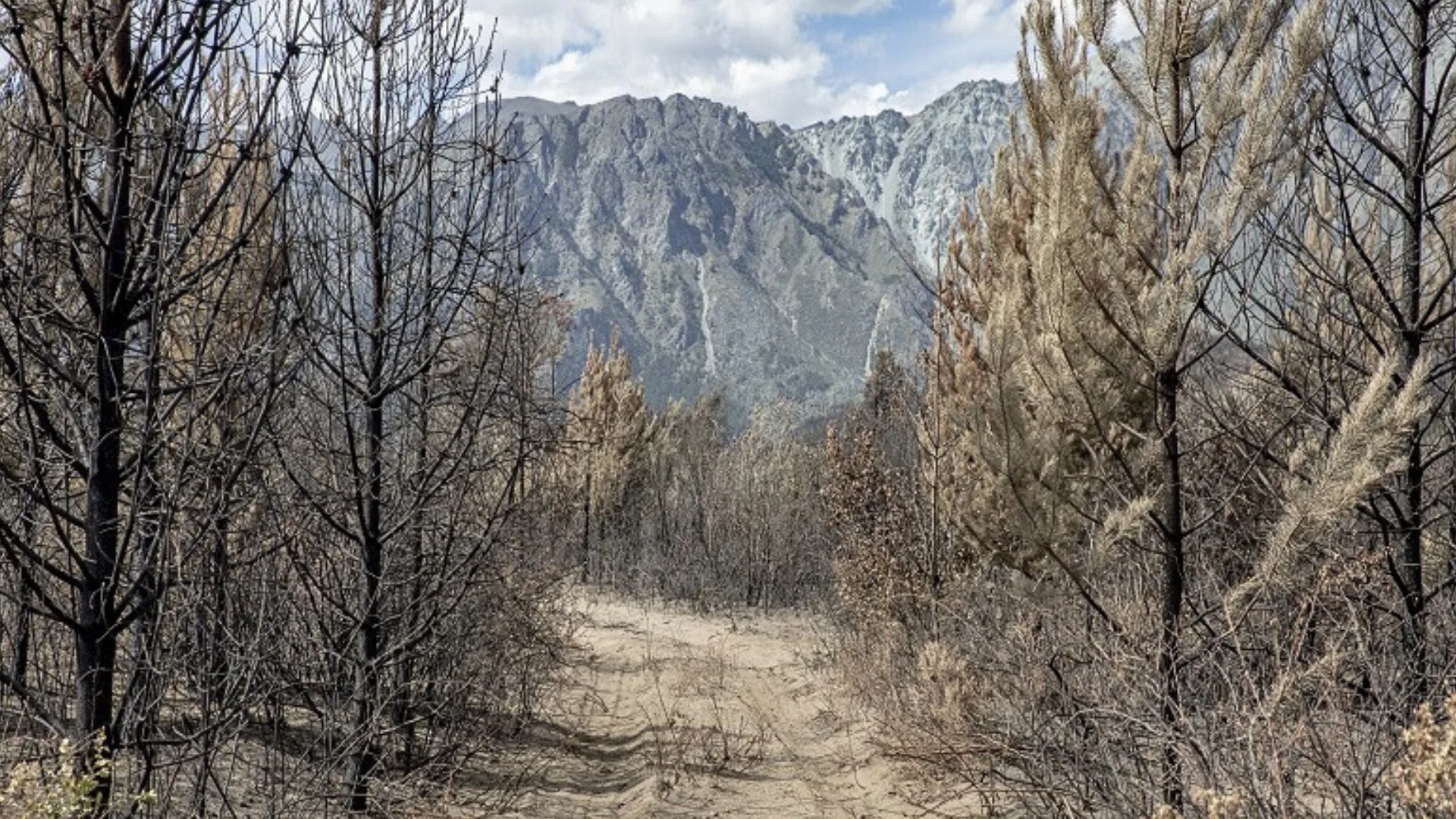 Incendios forestales en El Bolsón y efectos (Río Negro)