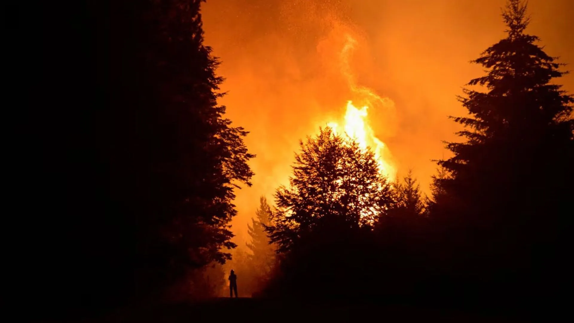 Incendios forestales en El Bolsón (Río Negro)