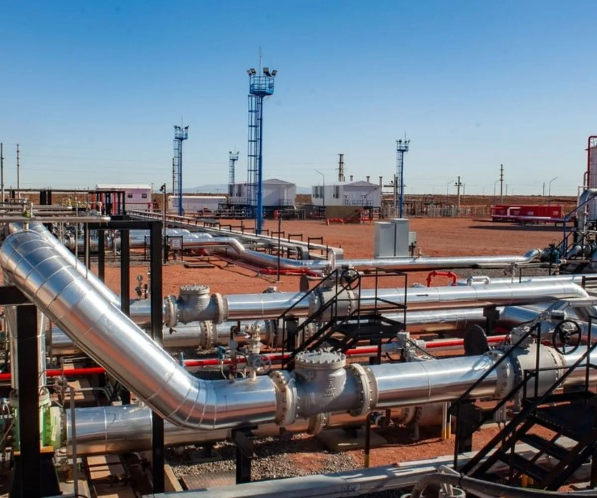 chile vaca muerta enap