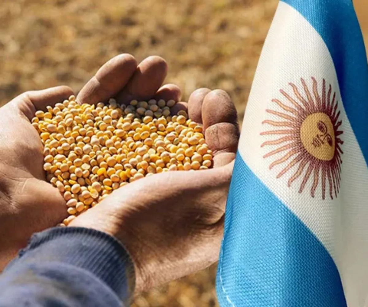 soja argentina