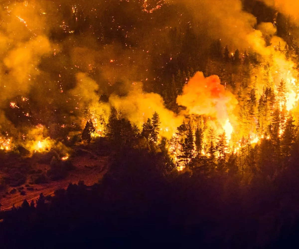 Incendios Patagonia argentina
