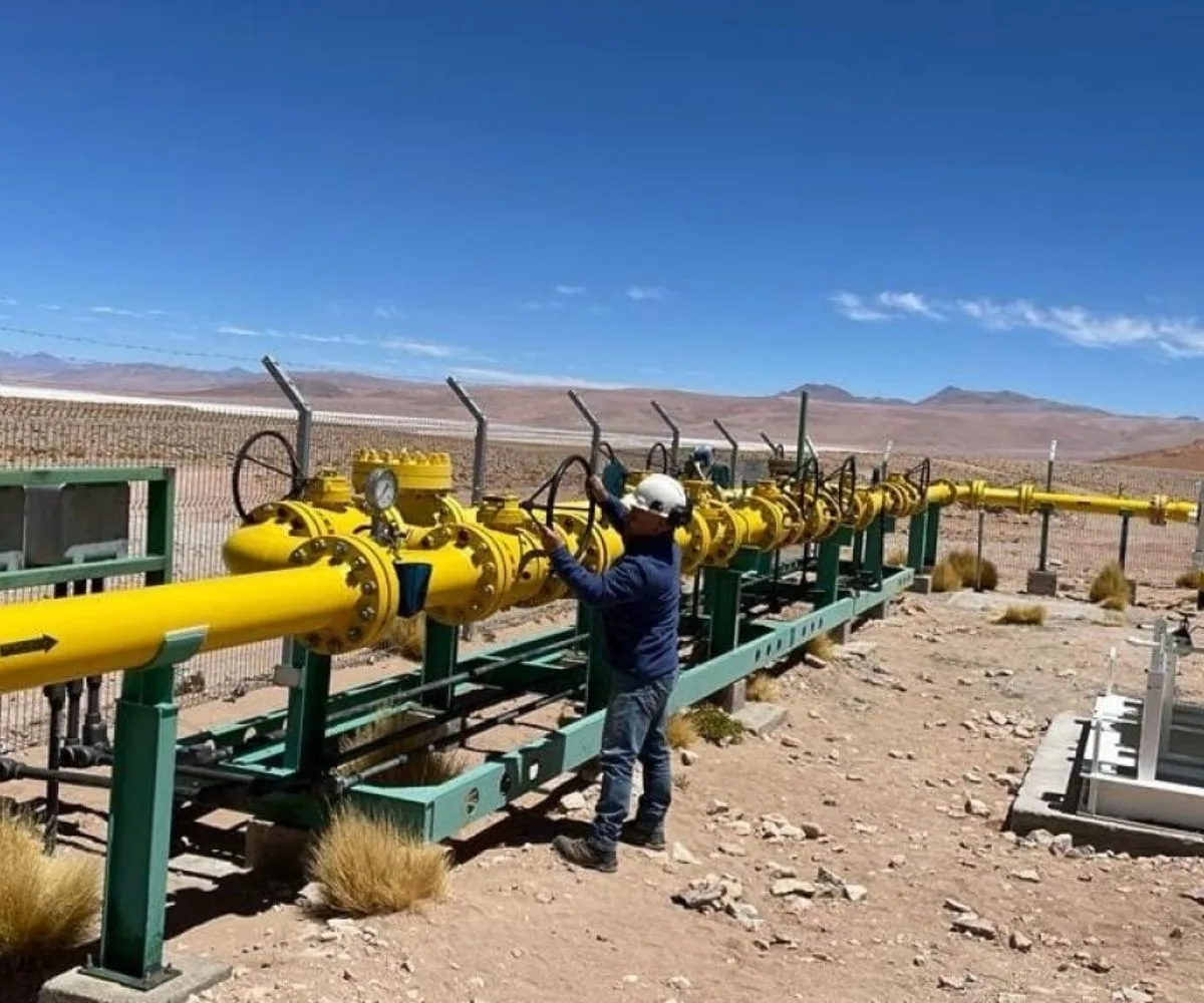 Mercado energético argentino