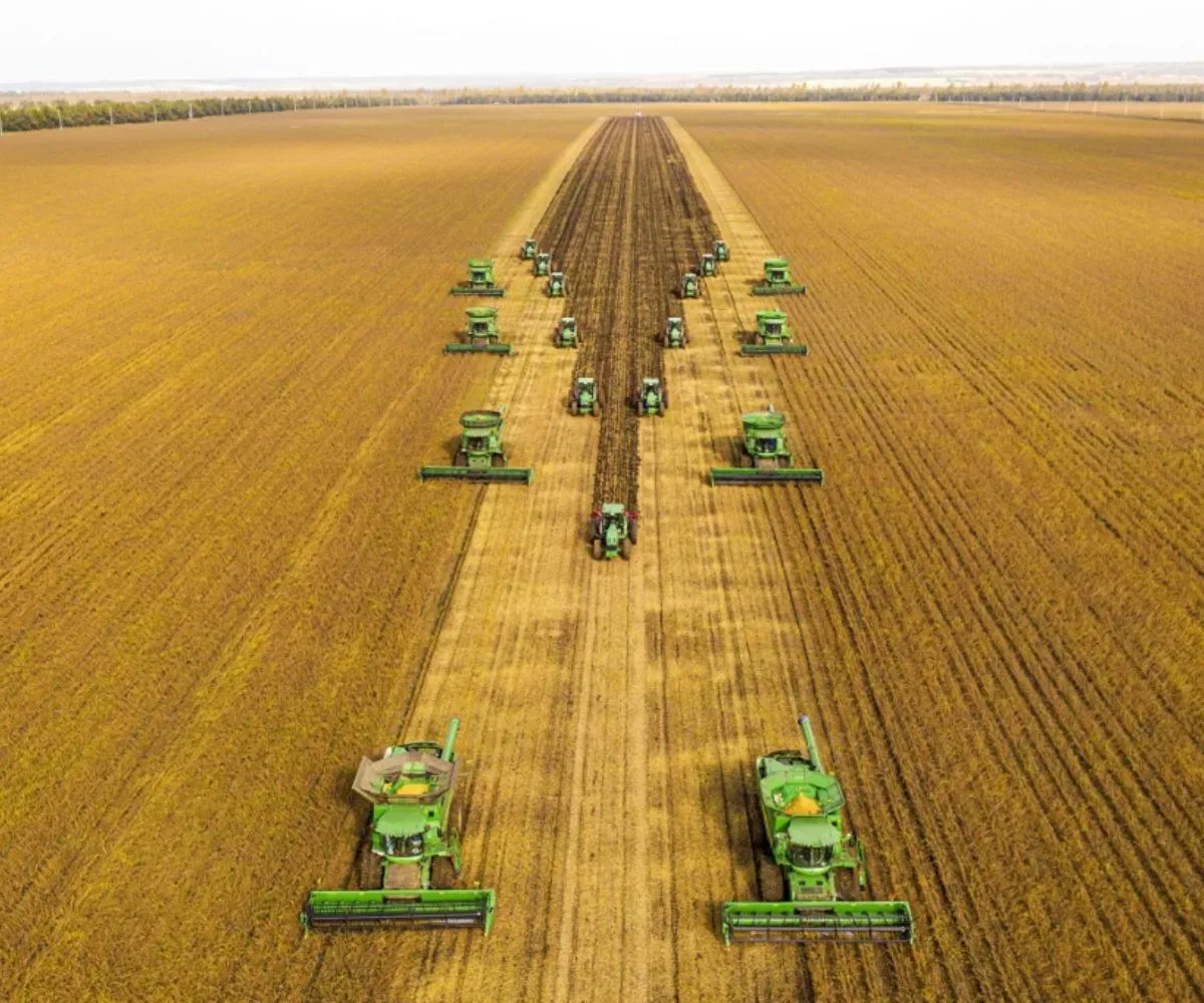 Sector agroindustrial argentino 